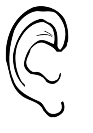 External ears